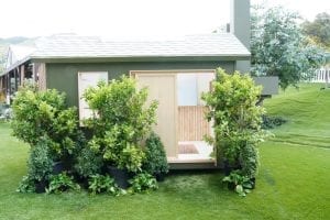 Exterior of forest green shed surrounded by tall bushes.