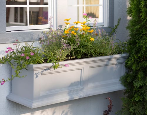 Exterior of garden She Shed: Flower box with wildflowers in front of window.