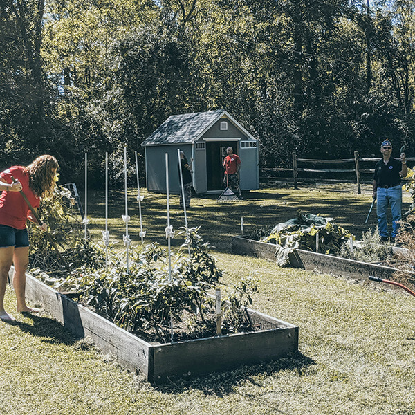 veterans raking plants in garden